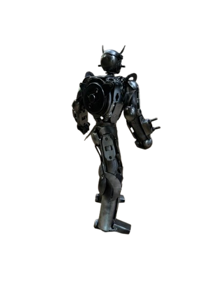Iron Guardian